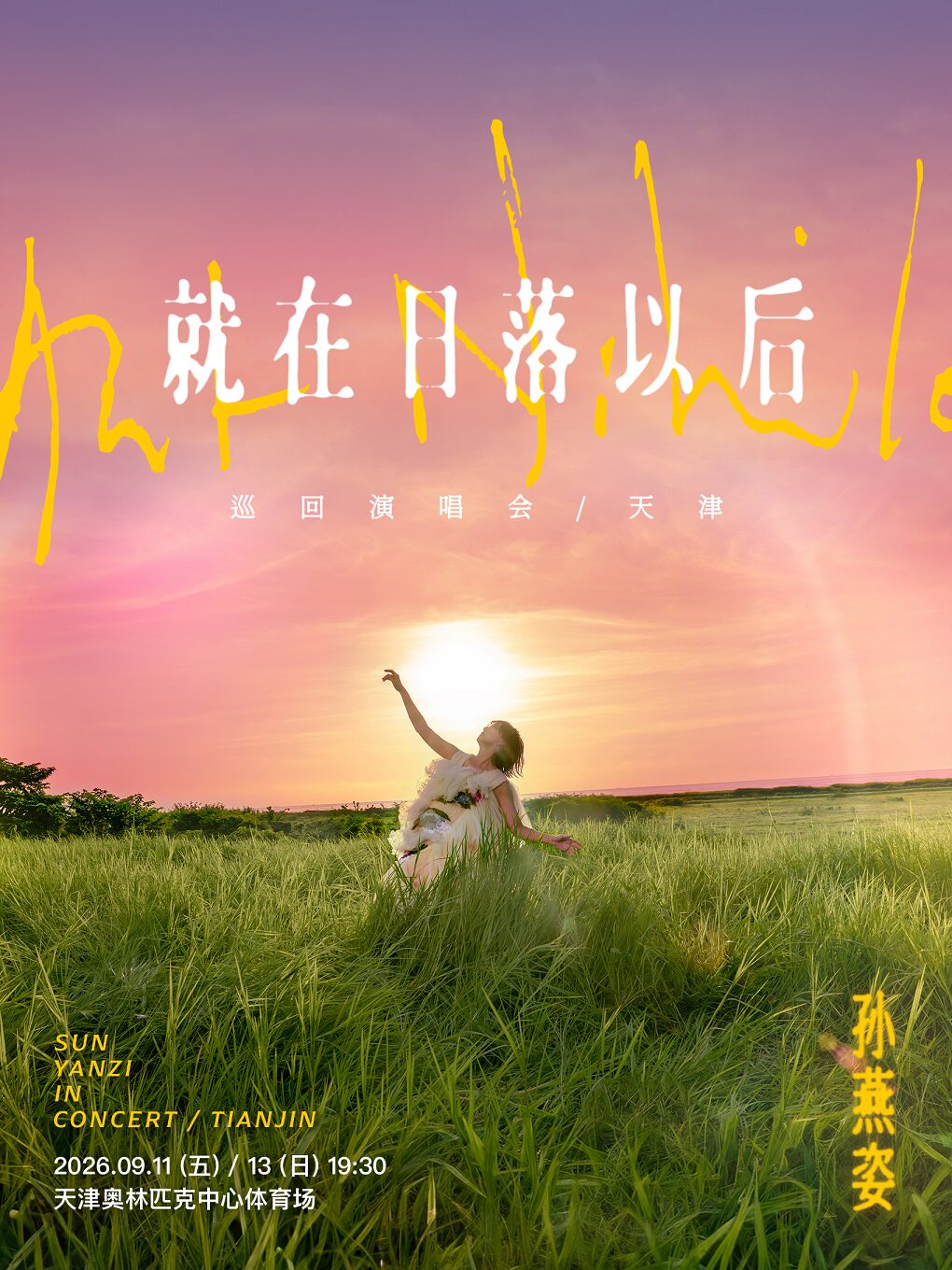 孙燕姿日落以后权益盒